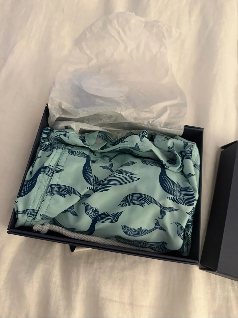 Vilebrequin light blue